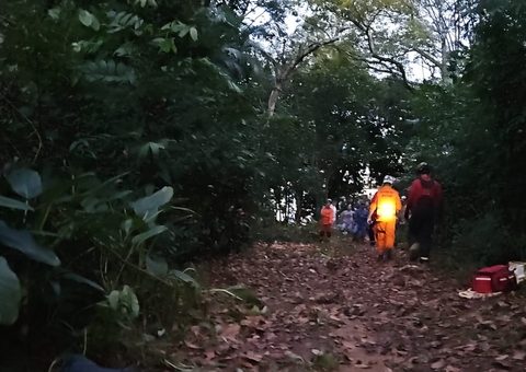 Paraquedista fica preso em árvore após equipamento apresentar problemas em Manaus