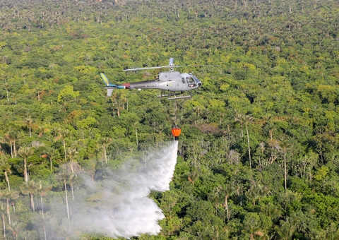 Novas recomendações do MPAM buscam monitorar e prevenir queimadas ilegais 