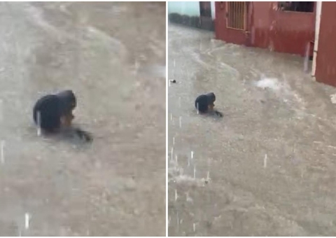 Homem toma banho em rua alagada durante chuva em Manaus; vídeos