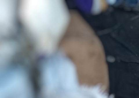 Homem é estrangulado e jogado em lixeira pública atrás de escola em Manaus 