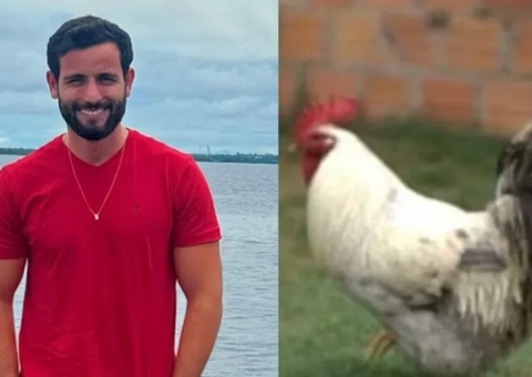 Matteus, do BBB 24, dá detalhes sobre furto de seu galo