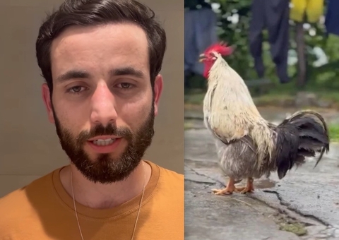 Galo de ex-bbb Matteus é roubado e família oferta recompensa:  'apavorado'