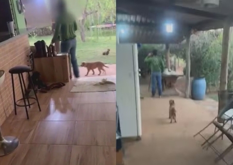 Vídeo mostra tio atirando contra casa de sobrinho em briga por herança