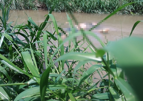 Com sinais de espancamento, corpo de homem é encontrado em igarapé de Manaus