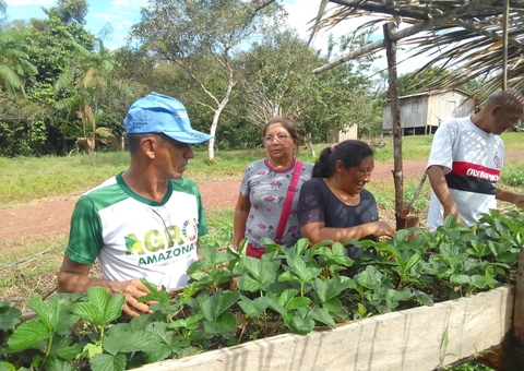 Capacitação viabiliza oportunidade de renda para produtores do Amazonas