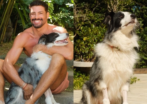Cauã Reymond comemora recuperação de cachorra envenenada: 'sextou com ela em casa'