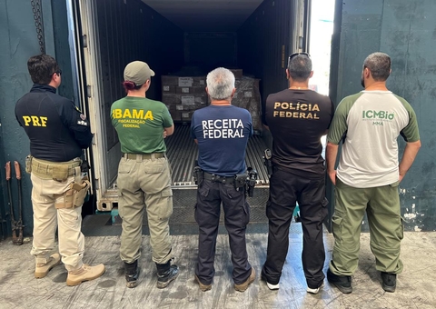 Pirarucu que seria exportado para Singapura ilegalmente é apreendido em Manaus