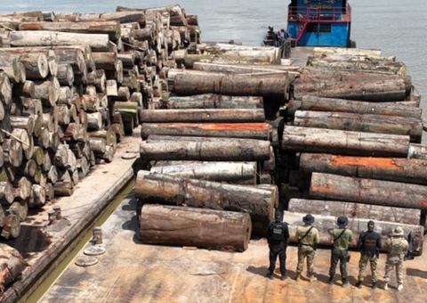 PF realiza operação contra crimes ambientais na fronteira do Vale do Javari