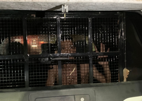 Passageiros são esfaqueados em assalto aterrorizante em ônibus de Manaus