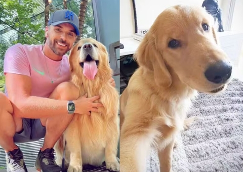 Laudo revela causa da morte do cão Joca em voo da Gol