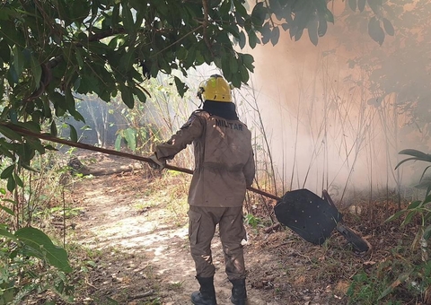 Em um mês, 560 focos de incêndio são registrados no Amazonas