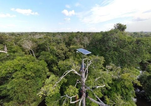 Projeto desenvolvido no Instituto Mamirauá é finalista na competição internacional XPRIZE Rainforest