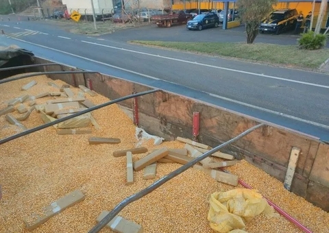 PRF apreende mais de 5 toneladas de maconha escondidas em carga de milho