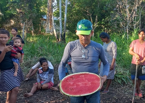 Produtores visam lucro com hortas comunitárias 