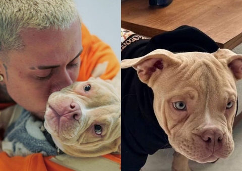 MC Daniel é chamado de irresponsável após seu cachorro morrer afogado