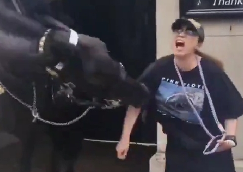 Turista desmaia após ser mordida por cavalo da Guarda Real Britânica 