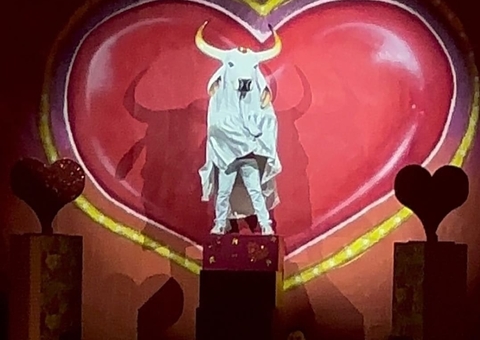 Com Garantido, Gandhicats vence Festival de Dança de Joinville