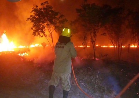 Somente nas últimas 24h, Corpo de Bombeiros combate 70 focos de incêndio em Manicoré