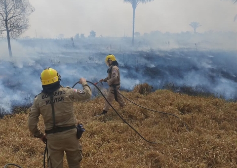 Incêndio se propaga e devasta área de pasto no Amazonas 