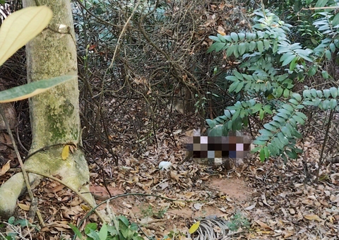 Decapitado, homem é achado apodrecendo em área de mata em Manaus