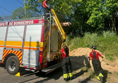 Bombeiros tentam resgatar corpo de homem decapitado em matagal em Manaus