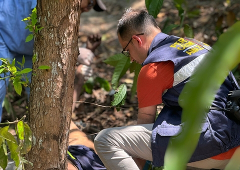 Com corda no pescoço e rosto desfigurado, homem é achado morto na Cidade Nova