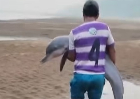 Vídeo: Ribeirinho viraliza ao salvar boto de seca no Amazonas