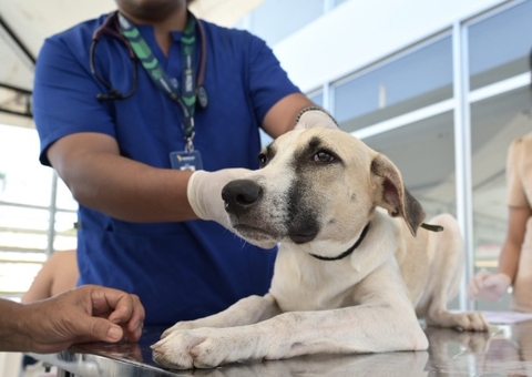 Castramóvel realiza agendamento para castração de cães e gatos na Cidade Nova
