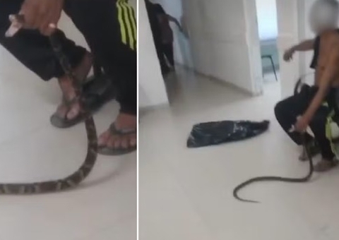 Após ser mordido por jararaca, homem carrega cobra até a UPA; vídeo