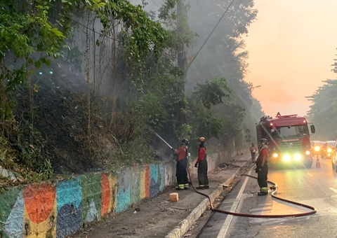 Amazonas registra mais de 10 mil focos de incêndio em menos de 90 dias