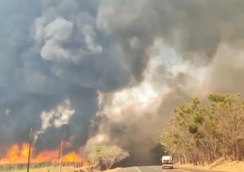 Quase 50 cidades de SP estão com alerta para queimadas