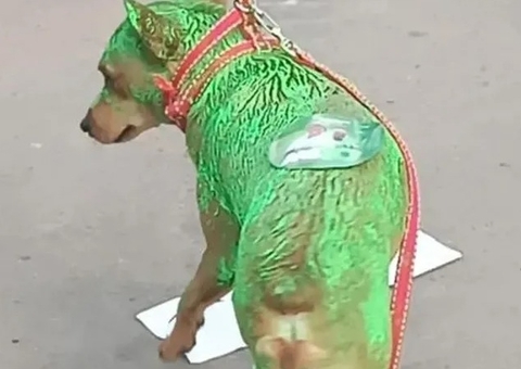 Candidato a prefeito posa com cão pintado de verde em evento e gera revolta