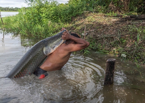 Panda Awards: Filme amazonense concorre em premiação internacional de cinema