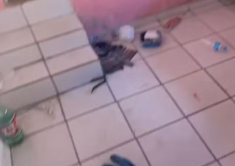 Golpe do amor: homem é sequestrado após marcar encontro em aplicativo de namoro