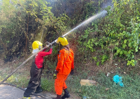 Incêndio atinge área de mata do Inpa 
