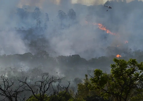 A Amazônia está chorando