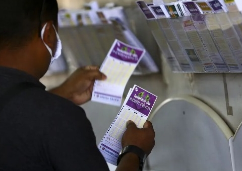 Descubra quais são os números mais sorteados na Lotofácil