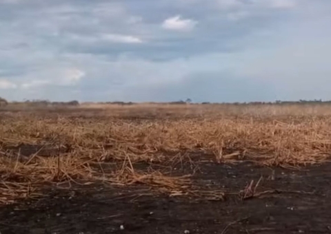 Fazendeiro é multado em R$ 50 milhões por incêndio que devastou 7,5 mil hectares