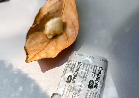 Casal é preso com calmante para dopar macacos em Jardim Botânico