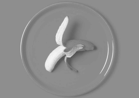 O que fazer em casos de disfunção erétil e ejaculação precoce