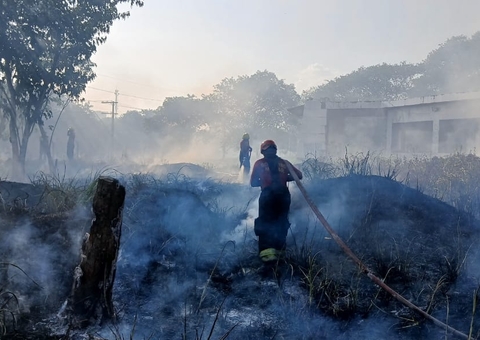 Manaus registra 18 incêndios em áreas de vegetação nas últimas 24 horas