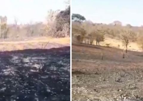 Floresta da Faber-Castell, fonte dos lápis de cor, sofre com incêndio