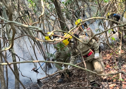 Incêndio atinge vegetação e deixa rastro de destruição no Cacau Pirêra