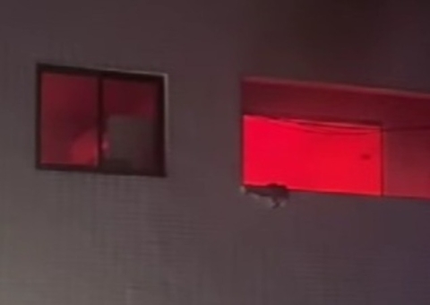 Panela esquecida no fogão causa incêndio em apartamento