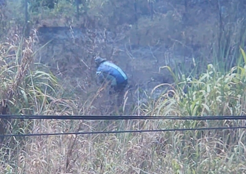 Homem é preso ao ser flagrado incendiando mata no Parque 10