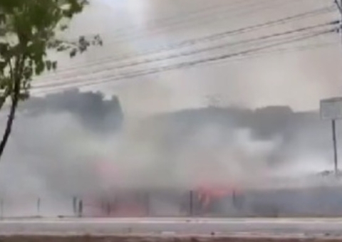 Fogo se alastra em área de mata na Avenida das Torres; vídeo