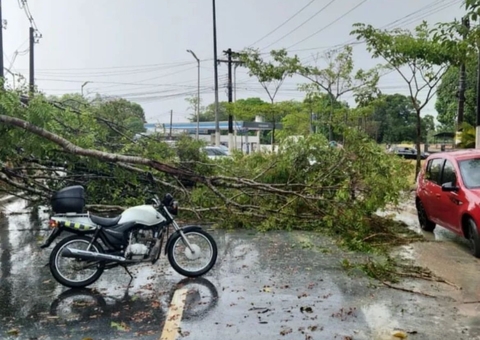 Vários bairros ficam sem energia após temporal em Manaus