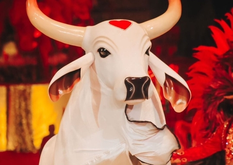 Movimento Amigos do Garantido elege nova diretoria neste domingo