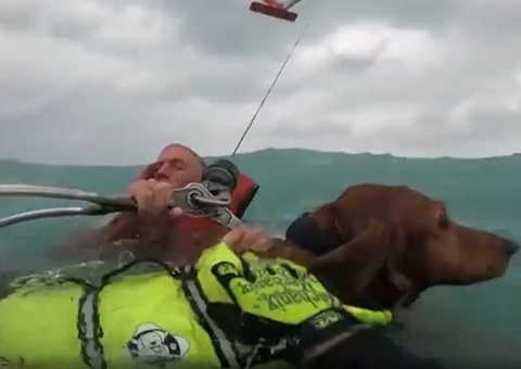 Vídeo: Velejador e cachorro são resgatados no meio de furacão nos EUA