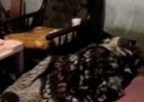 Homem passa mais de 10 dias dormindo ao lado do cadáver da esposa 